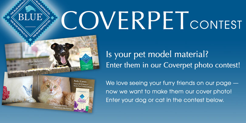 coverpet votigo contest