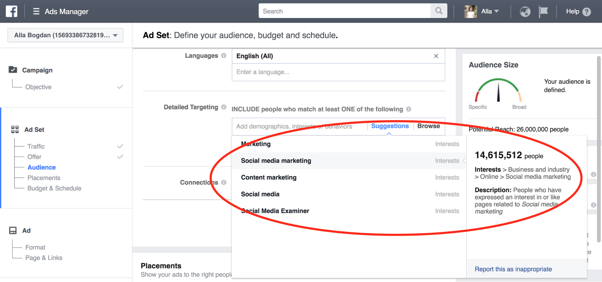 Facebook ads detailed targeting example