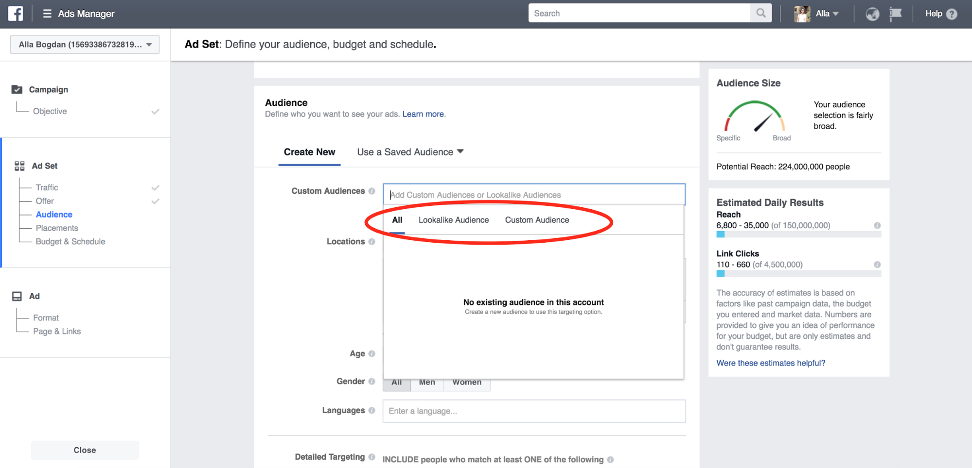 Facebook Ads audience example