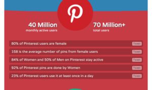 audience is using Pinterest