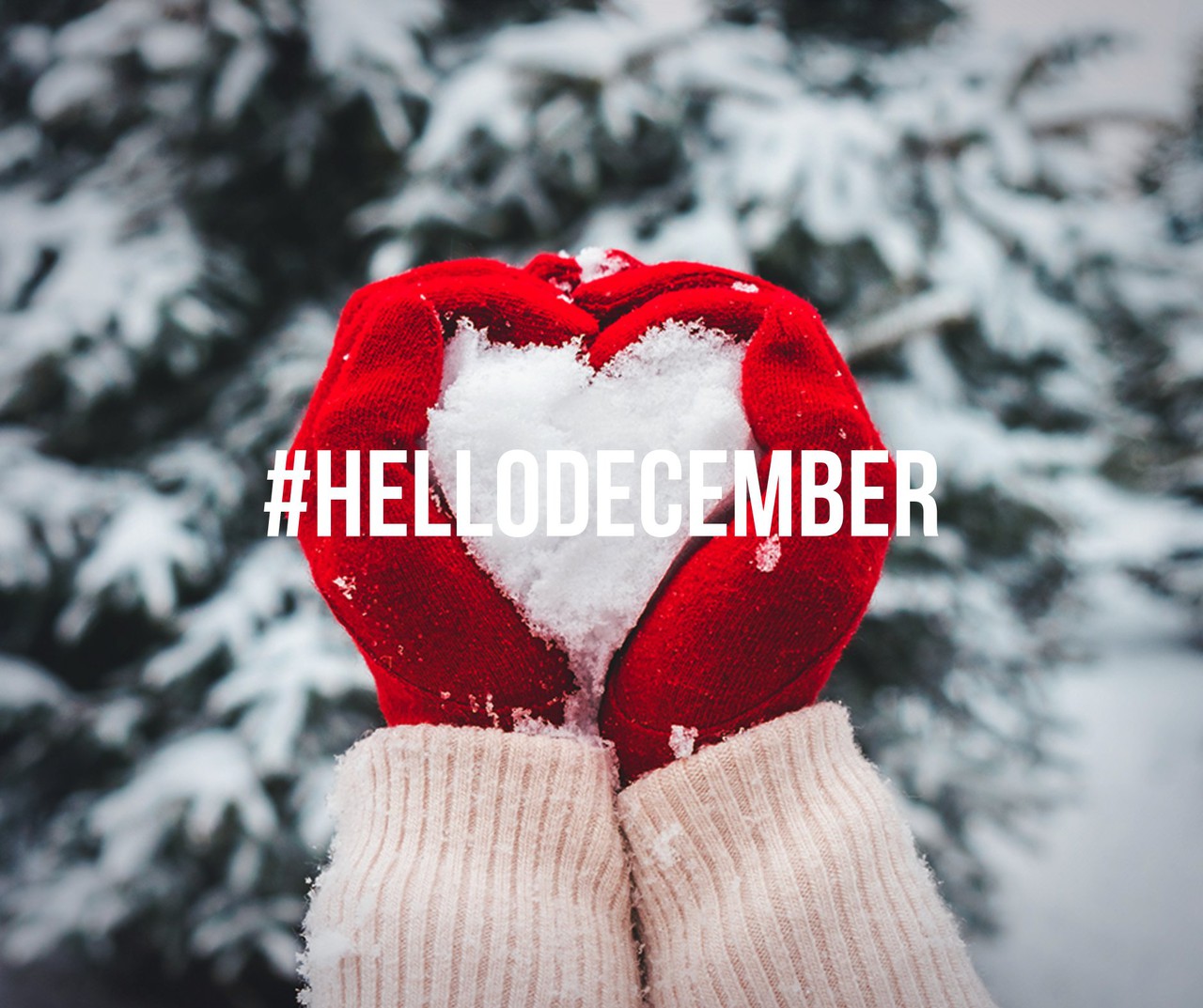 Goodbye November, Hello December